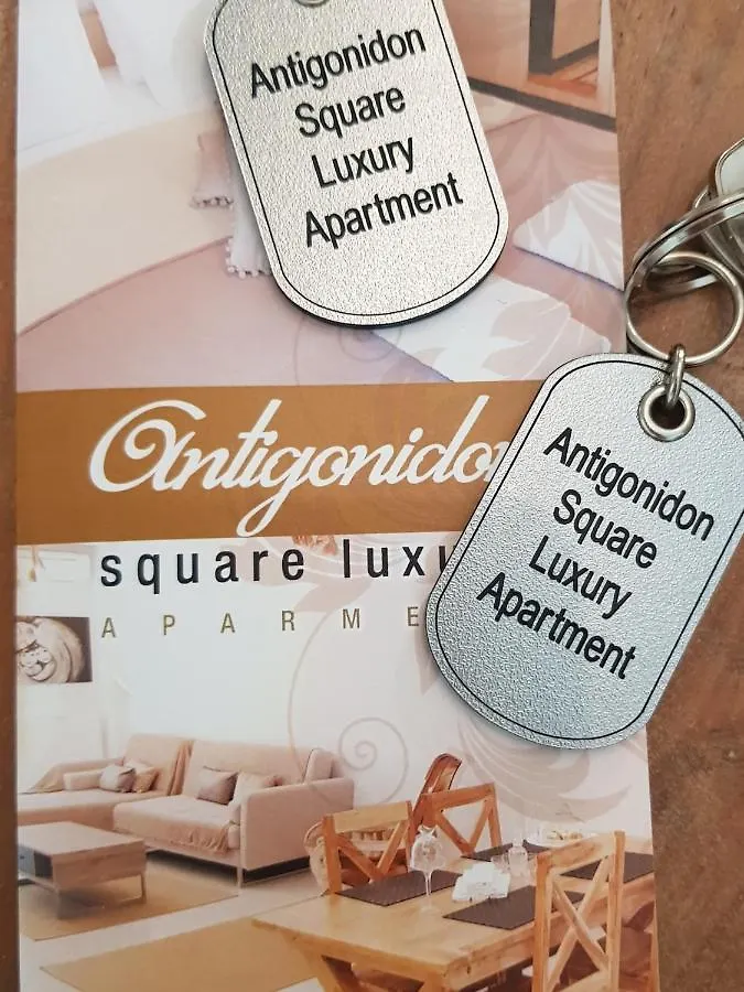 Antigonidon Square Luxury Apartment Szaloniki